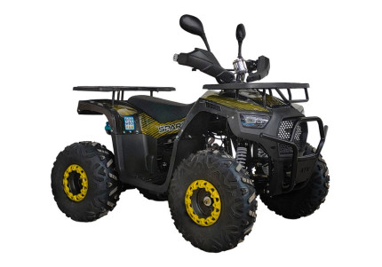 Квадроцикл Spark SP125-12