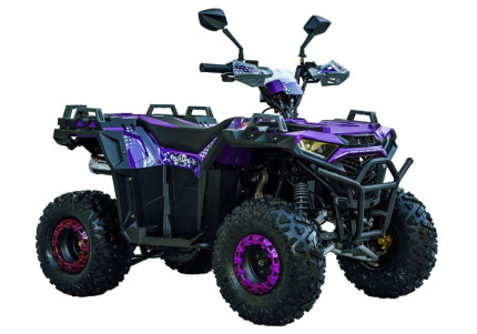 Квадроцикл Spark SP125-11