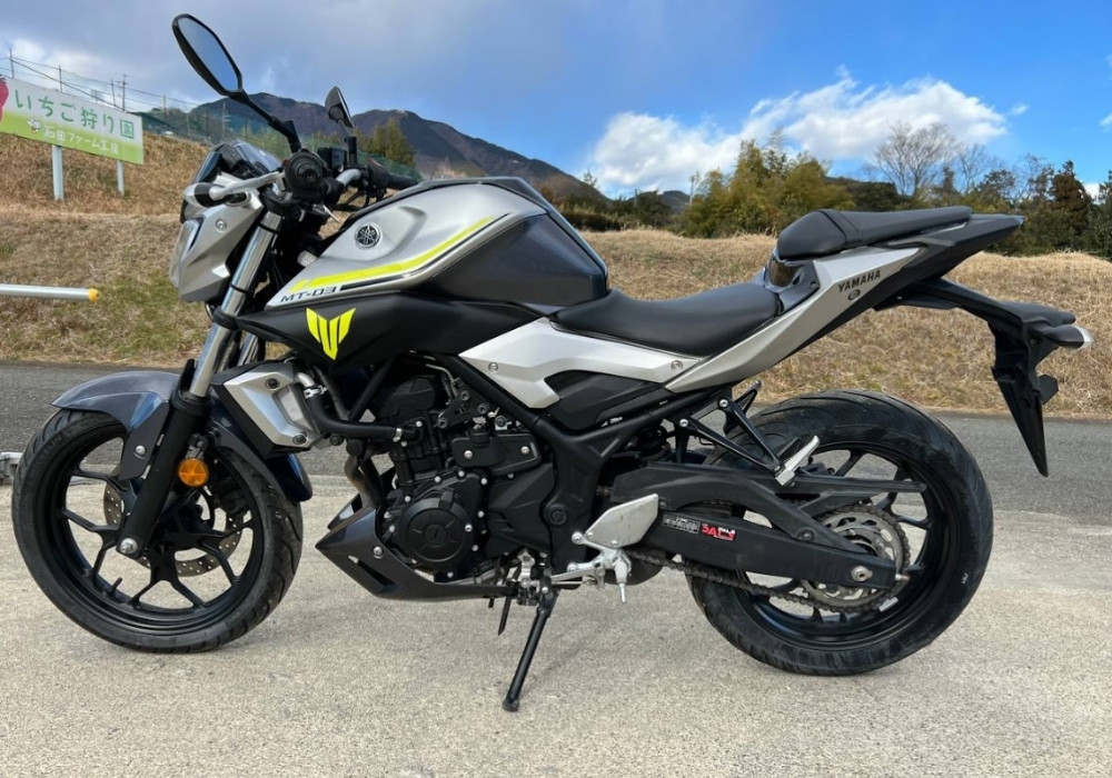 Придбати Мотоцикл Yamaha MT-03 2017 Пробіг: 6 225 км в АртМото