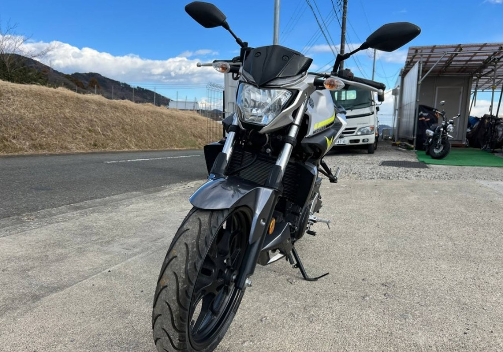 Придбати Мотоцикл Yamaha MT-03 2017 Пробіг: 6 225 км в АртМото