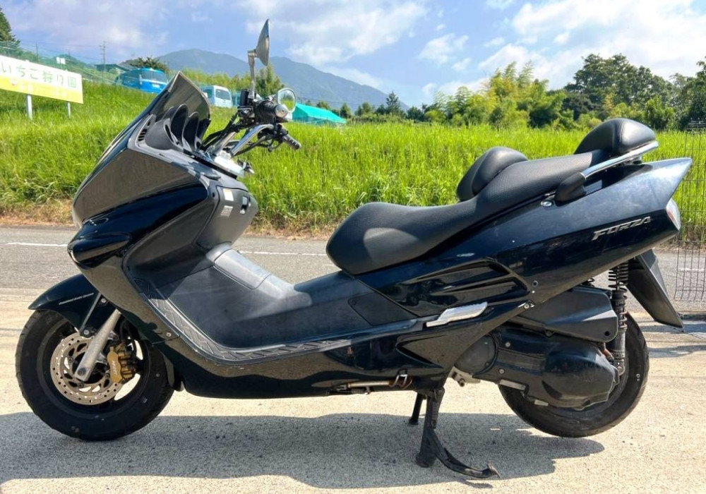 Придбати Максі-скутер Honda FORZA 250 MF06 2003 Пробіг: 18 702 км